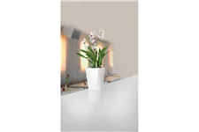 fleur ami DELTINI Tischgefäß Komplett-Set 14x14/18 cm, weiß
