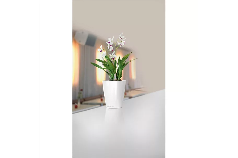 fleur ami DELTINI Tischgefäß Komplett-Set 14x14/18 cm, weiß