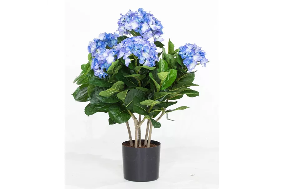HORTENSIE Kunstpflanze 53 cm, blau