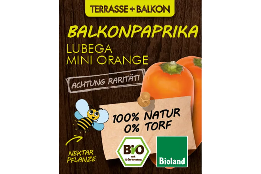 Bio Balkonpaprika orange 12 cm Topf