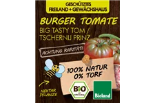 Bio Burger-Tomate 'Big Tasty Tom' 12 cm Topf