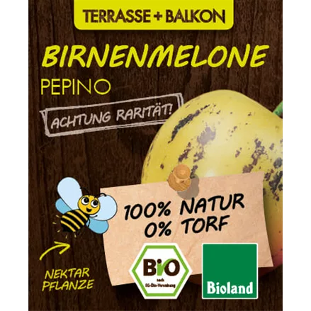 Bio Birnenmelone Pepino