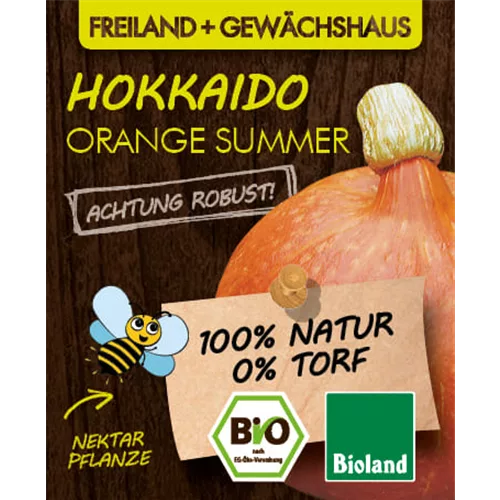 Bio Kürbis 'Orange Summer'