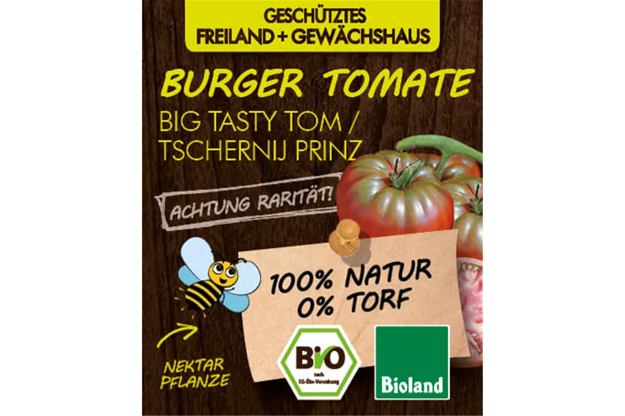 Bio Burger-Tomate 'Big Tasty Tom' 12 cm Topf