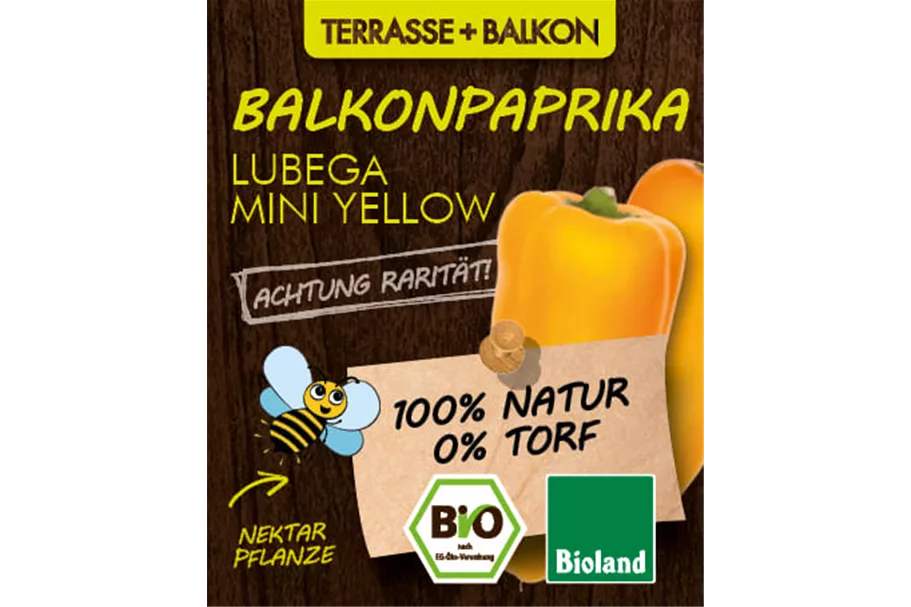Bio Balkonpaprika gelb 12 cm Topf