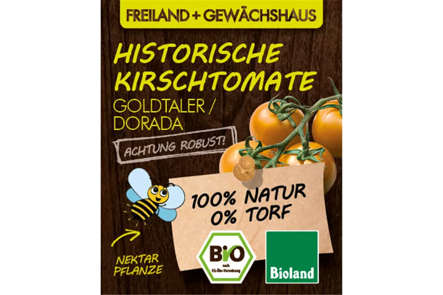 Bio -Tomate 'Goldtaler / Dorada' 12 cm Topf