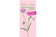 Wiesen-Witwenblume 9x9 cm Wildstaude