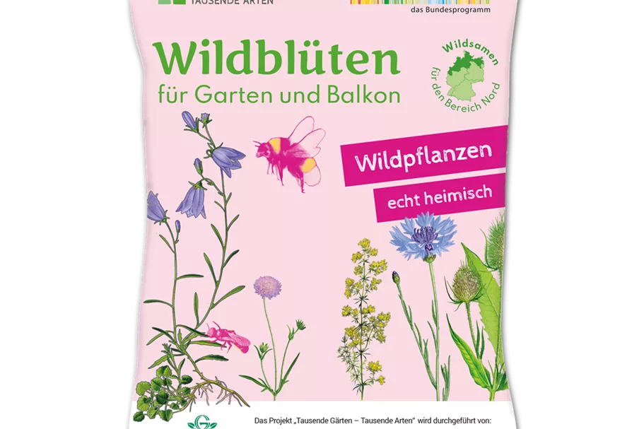 Wildblüten für Garten und Balkon 2 m² NORD 4 g für 2 m² Region NORD