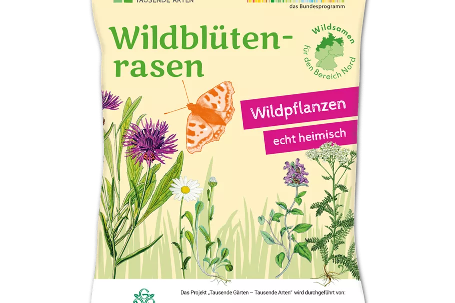 Wildblüten-Rasen - 10 m² NORD 30 g für 10 m² Region NORD