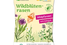 Wildblüten-Rasen - 10 m² WEST 30 g für 10 m² Region WEST