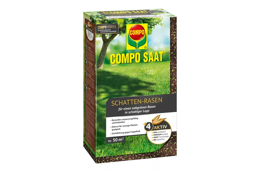Compo SAAT Schattenrasen 1 kg