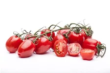 Pflaumen-Cherry-Tomate 'Dasher' - 'Mirado Red' 11 cm
