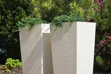 Siena Garden Pflanzkübel Nizza, eckig, 30x30x57,0 cm Rillenoptik in weiß Kunststoff K07029