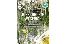 Hirschhorn-Wegerich-Samen Inhalt reicht für ca. 3-4 lfd. m.