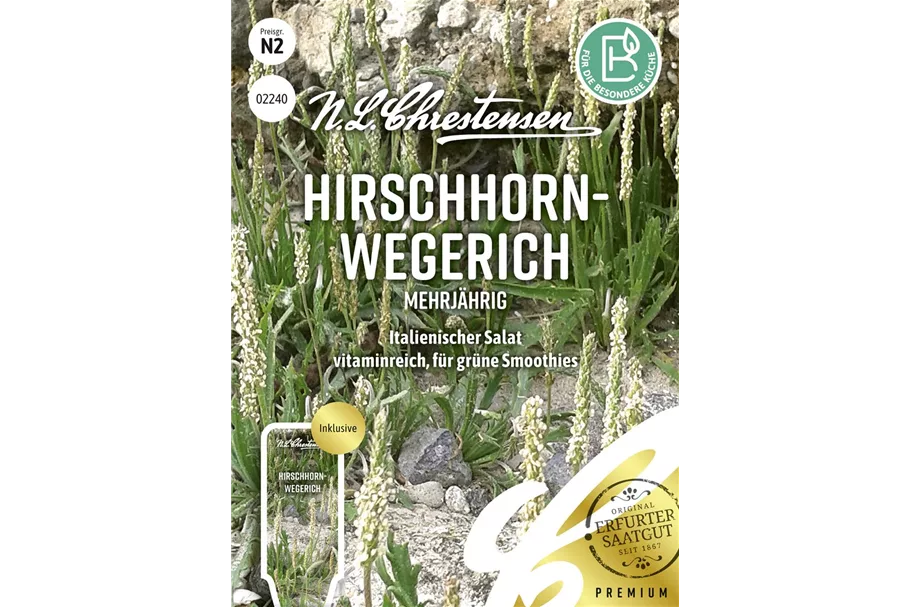 Hirschhorn-Wegerich-Samen Inhalt reicht für ca. 3-4 lfd. m.
