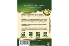 Amerikanische Minze-Samen 'Mountain Mint' Packungsinhalt reicht für ca. 100 Pflanzen