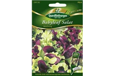Babyleaf-Salat-Samen Packungsinhalt reicht für ca. 250 Pflanzen