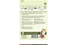 Zonal-Pelargonien-Samen Inhalt reicht für ca. 10 Pflanzen