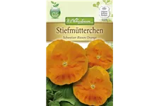 Stiefmütterchensamen 'Schweizer Riesen Orange Sonne' Inhalt reicht für ca. 60 Pflanzen