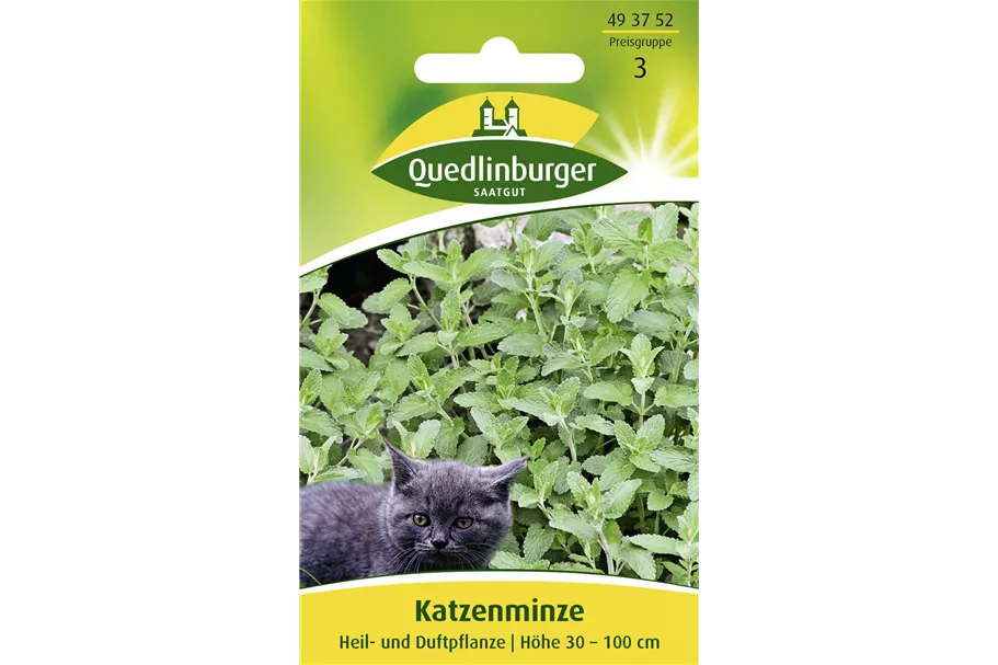 Gewöhnliche Katzenminze-Samen Packungsinhalt reicht für ca. 50 Pflanzen
