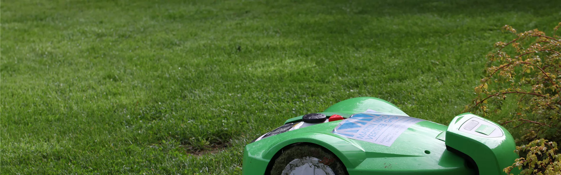 Rasen vertikutieren Olerum