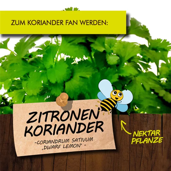 Bio Zitronen-Koriander