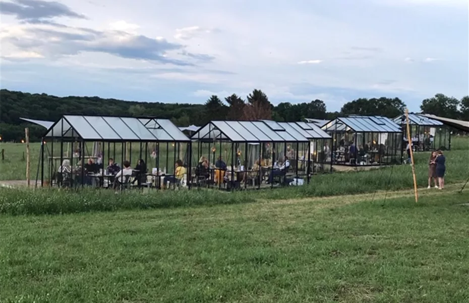 Restaurant lässt Gäste im Gewächshaus essen Olerum