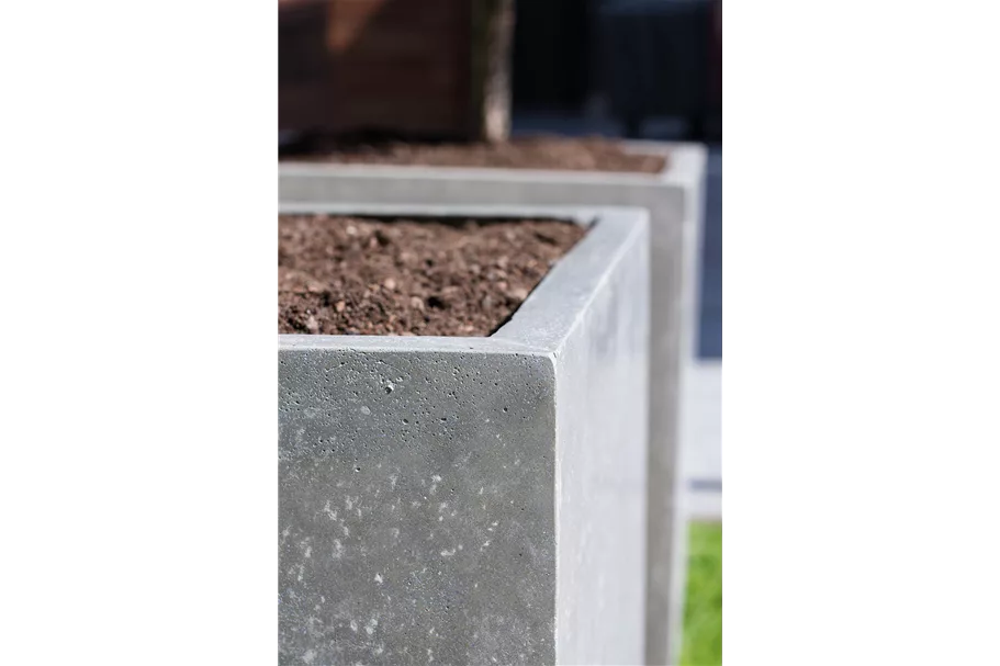 DIVISION PLUS Pflanzgefäß 50x50/54 cm, natur-beton