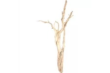 Ghostwood sandgestrahlt, verzweigt, 150-175 cm