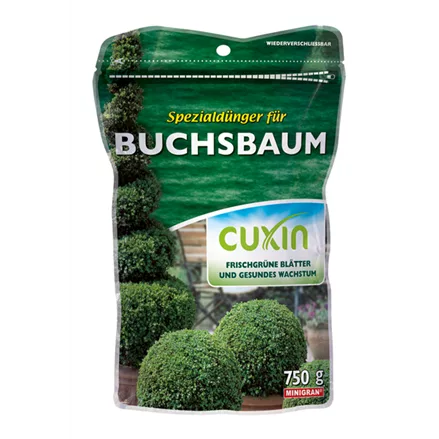 Cuxin WF Buchsbaum