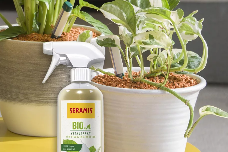 Seramis BIO-Vitalspray für Zimmerpflanzen 500 ml 100 % vegan und organisch