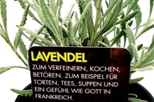 Bio Lavendel Kräutertopf 12 cm Lavendel