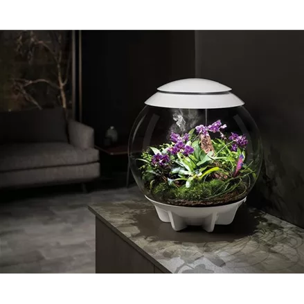 biOrb Air pflegeleichtes Zuhause für kleine Zimmerpflanzen