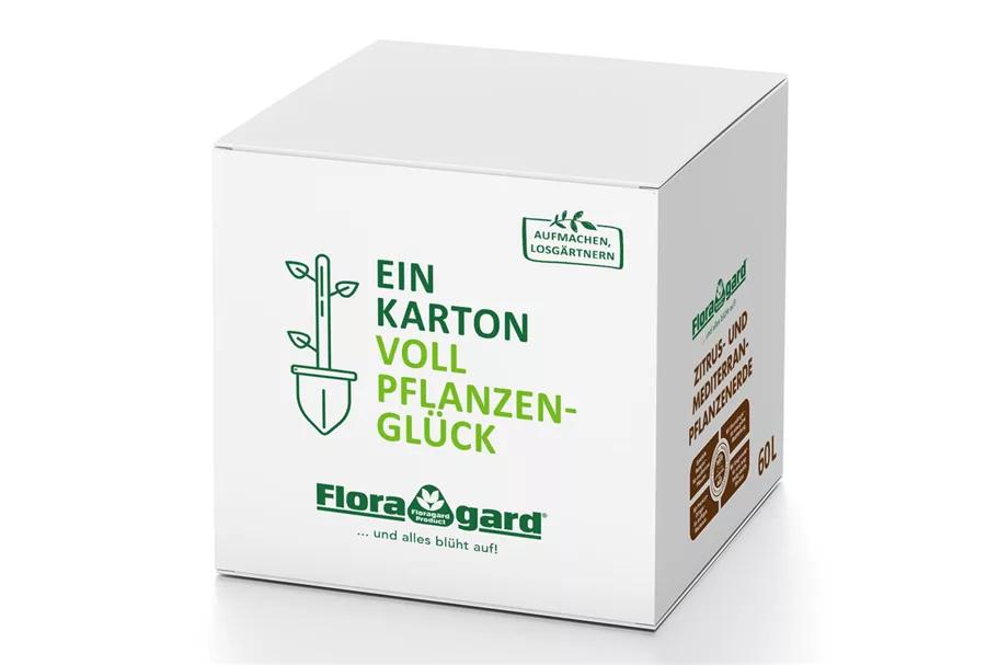 Floragard Zitrus- und Mediterranpflanzenerde in der Box 60 Liter 1x60L