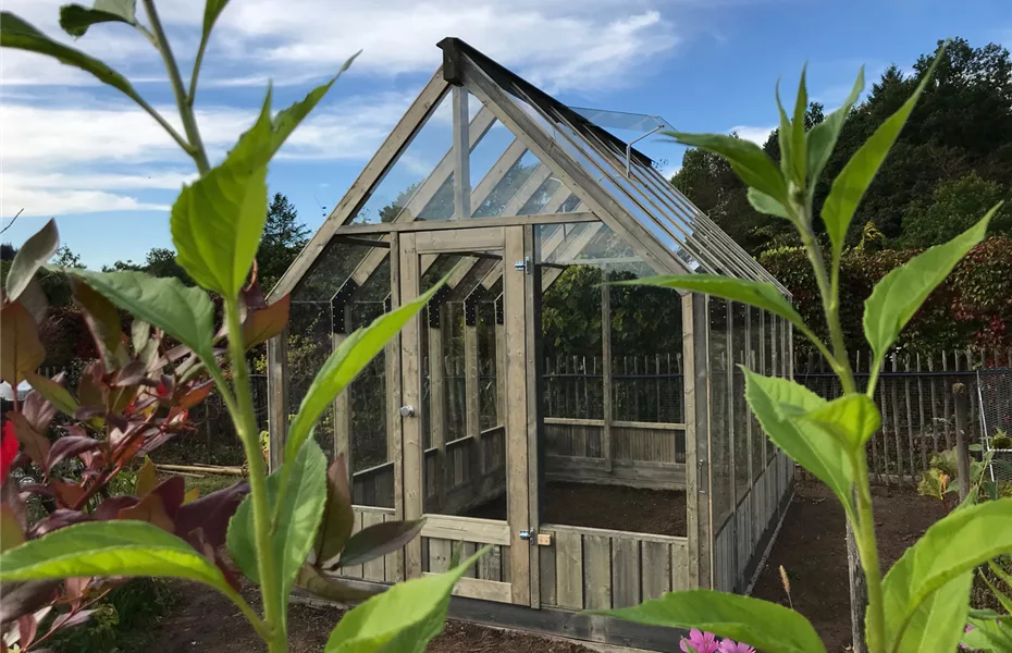 HolzGewächshaus Bausatz zum Selberbauen