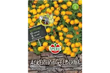 Acker-Ringelblume 'Frühlingssonne' Inhalt reicht für ca. 30 Pflanzen