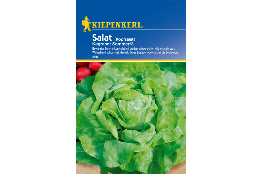 Kopfsalat 'Kagraner Sommer 2' online kaufen bei Olerum