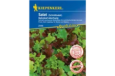 Babyleaf-Salat 3 lfd. Meter