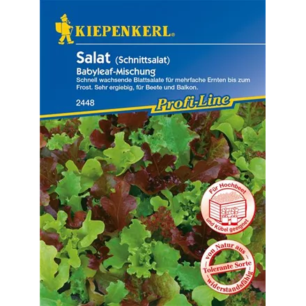 Babyleaf-Salat