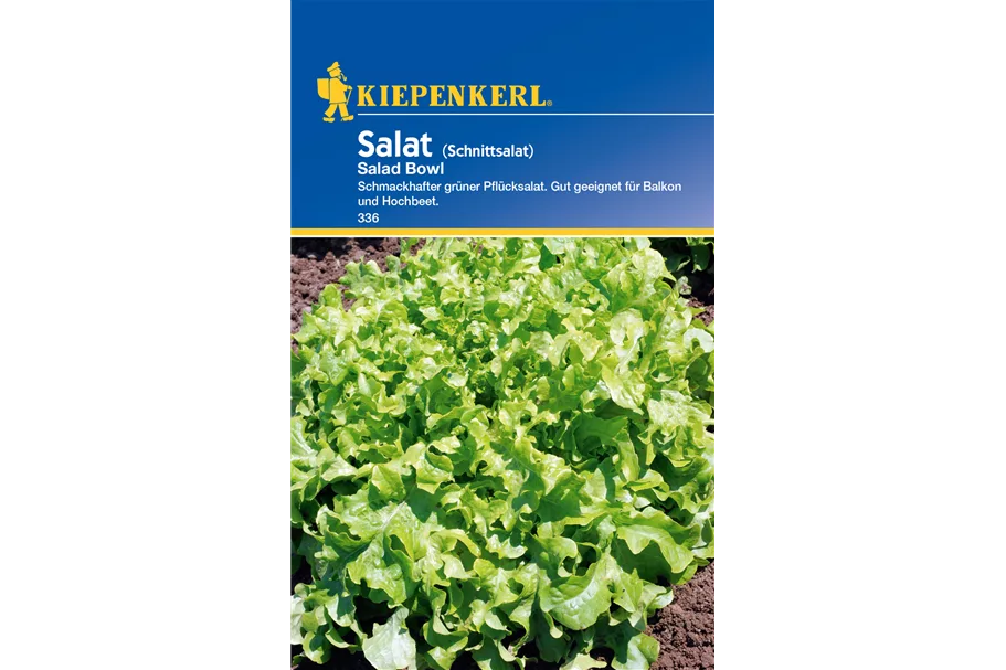 Eichblattsalat 'Salad Bowl' ca. 5 lfd. Meter