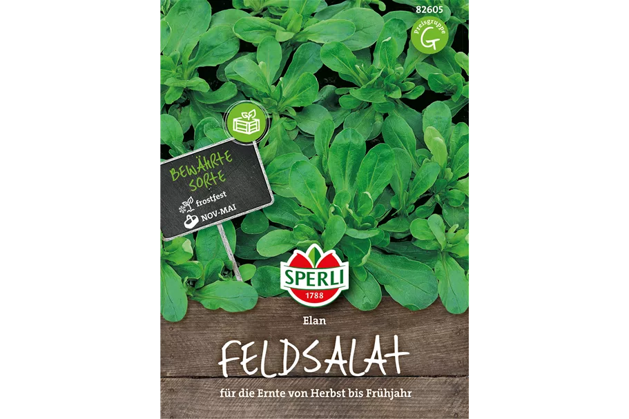 Feldsalat 'Elan' Inhalt reicht für ca. 200 Pflanzen
