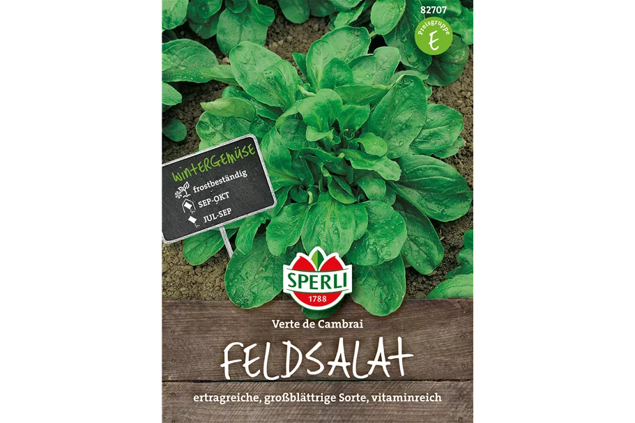 Feldsalat 'Verte de Cambrai' online kaufen bei Olerum