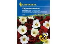 Kleine Kapuzinerkresse 'Night and Day' ca. 20 Pflanzen