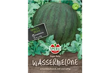 Kompakte Wassermelone 'Sugar Baby' Inhalt reicht für ca. 10 Pflanzen