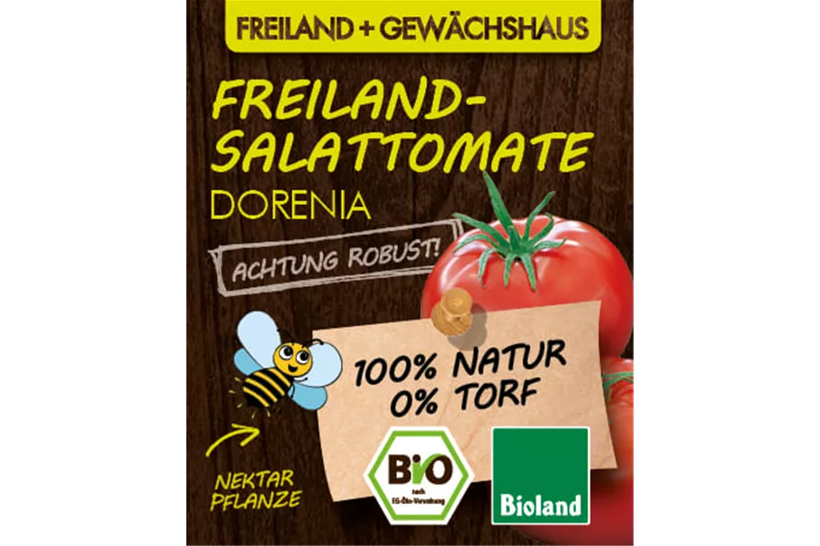 Bio Tomate 'Dorenia' 12 cm Topf