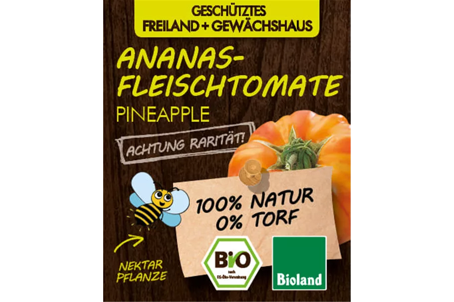 Bio -Tomate 'Pineapple' 12 cm Topf