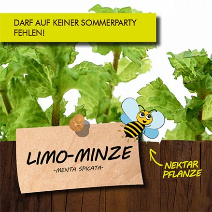 Bio Limo-Minze 