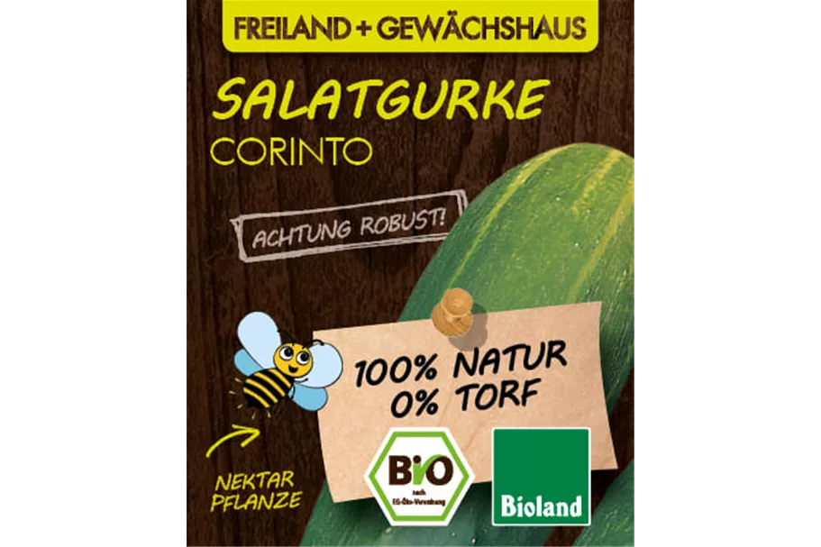Bio Salatgurke 'Corinto' 12 cm Topf