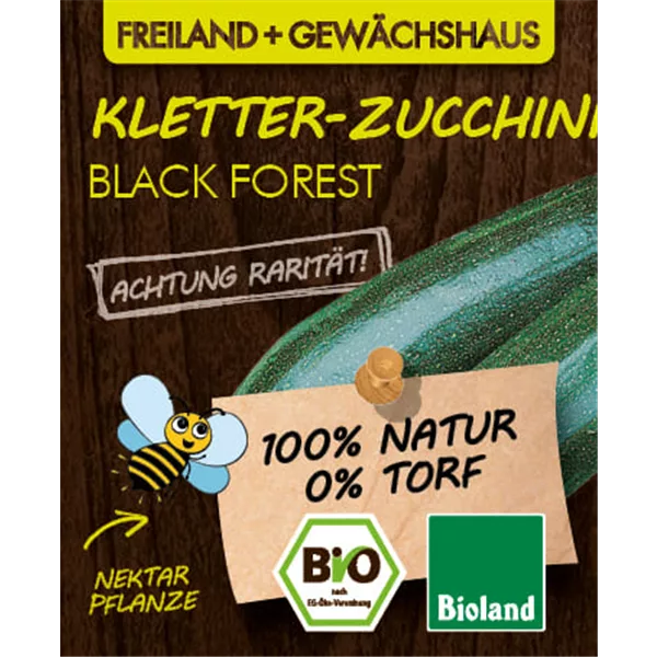 Bio Zucchini 'Black Forest'