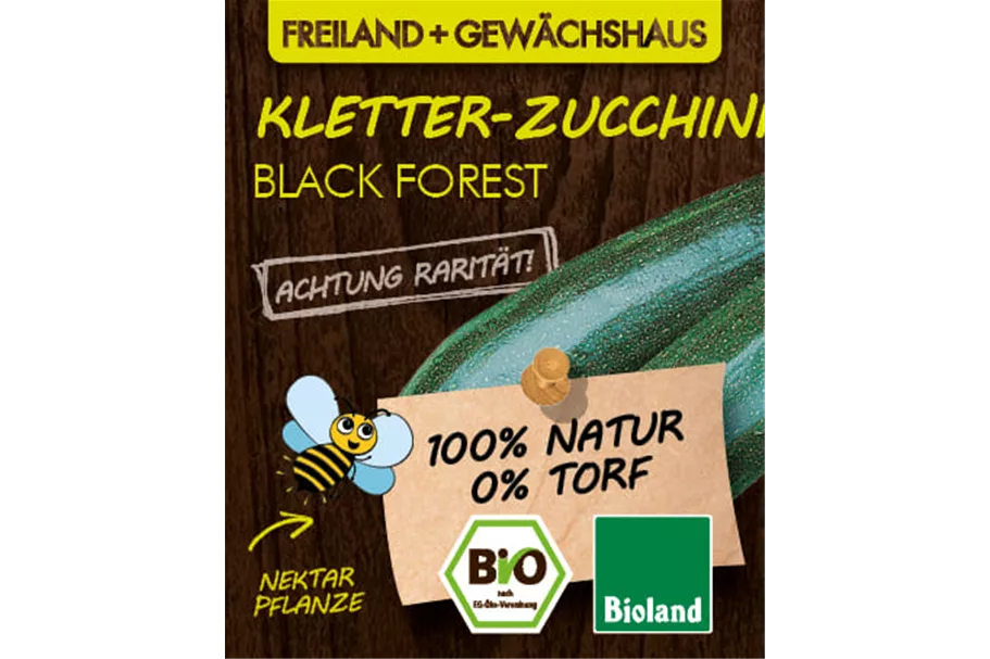 Bio Zucchini 'Black Forest' 12 cm Topf